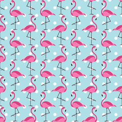 Fototapeta na wymiar Seamless pattern with exotic pink Flamingo, funny delicate polka dot background, vector illustration