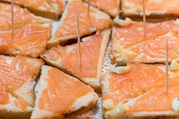 Appetizer of salmon tartlets