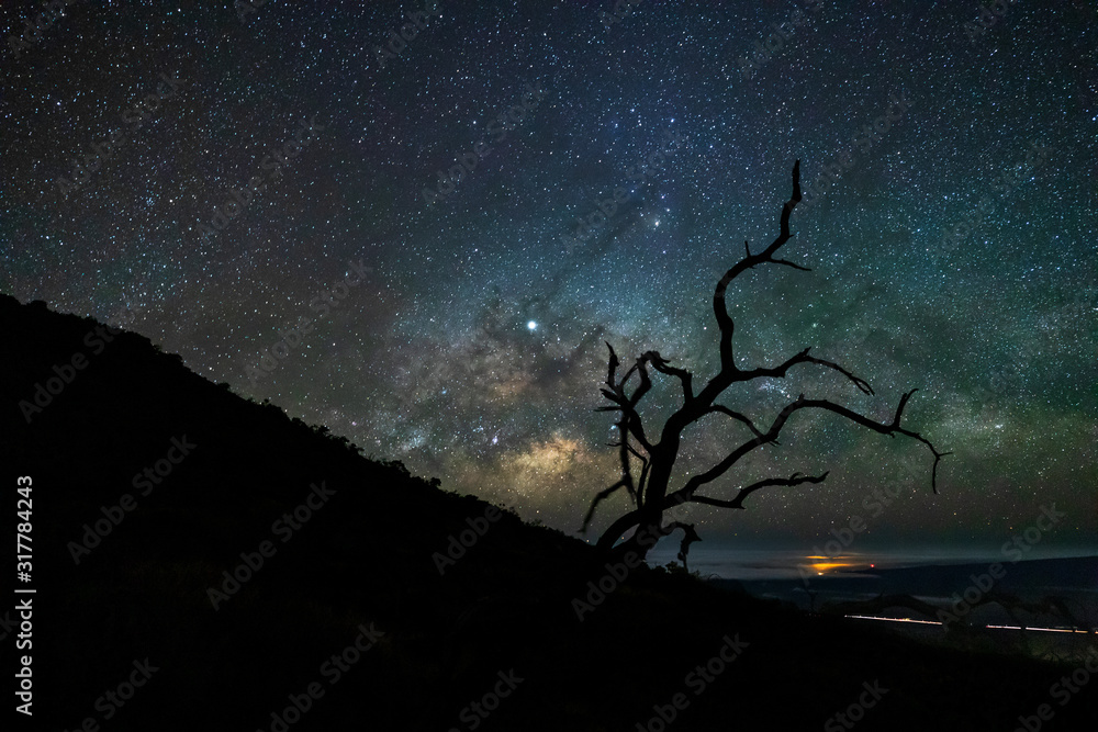 Wall mural the milky way rises above hilo high up on mauna'kea mountain with the silhouette of a tree in the fo