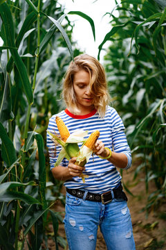 Young woman in stripped ves shirt in a corn field picking up the corn.