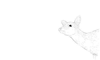 ニホンジカのリアルな線画