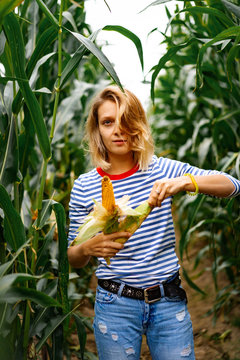 Young woman in stripped ves shirt in a corn field picking up the corn.
