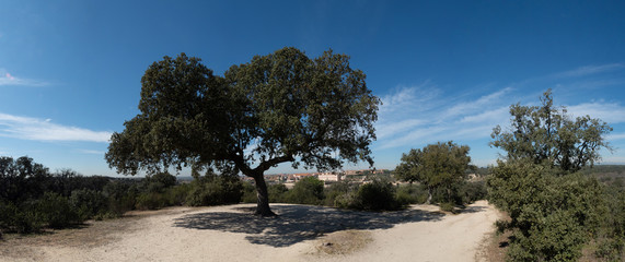 View of the palace of the Infante Don Luis.