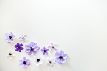 Beautiful purple anemone flower with tender petals on white table background with a lot of copy space for text. Top view, flat lay.