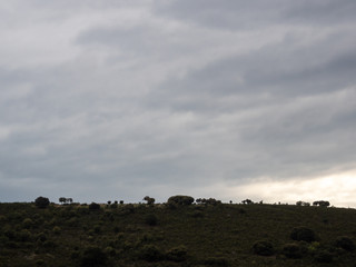 Obraz premium Mountain landscape