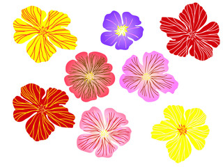 Set of vector decorative abstract flowers of different colors. Illustration isolated on white background.