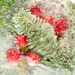 bright berries and branches of needles - 317789856