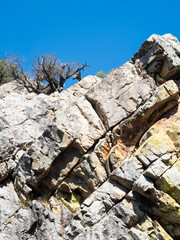 Mountain landscape