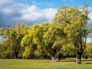 Autumn landscape
