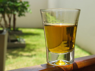 glass of cachaça with green plants background