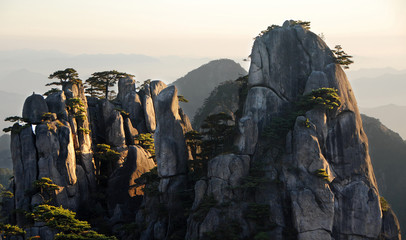 Huangshan Mountain in Anhui Province, China. View at sunrise from Dawn Pavilion viewpoint with a rocky outcrop and pine trees. Scenic view of peaks and trees with shadows on Huangshan Mountain, China.