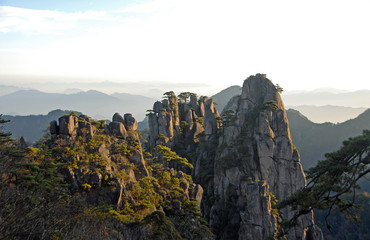 Huangshan Mountain in Anhui Province, China. View at sunrise from Dawn Pavilion viewpoint with a rocky outcrop and pine trees. Wide scenic view of peaks and trees on Huangshan Mountain, China.