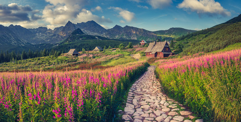 mountain landscape, Tatra mountains panorama, Poland colorful flowers and cottages in Gasienicowa valley (Hala Gasienicowa), summer - obrazy, fototapety, plakaty