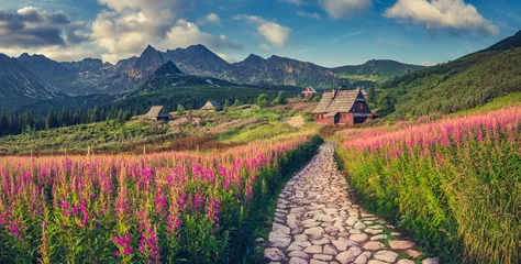 Papier Peint photo Tatras paysage de montagne, panorama des montagnes Tatra, Pologne fleurs colorées et cottages dans la vallée de Gasienicowa (Hala Gasienicowa), été