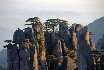 Huangshan Mountain in Anhui Province, China. View at sunrise from Dawn Pavilion viewpoint with a rocky outcrop and pine trees. Close up scenic view of peaks and trees on Huangshan Mountain, China.