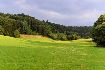 Landscape with meadow and forest in hills