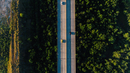 Road Over trees