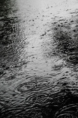 water drops on the surface