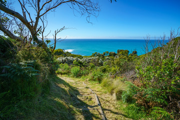 hiking the great ocean walk in victoria, australia