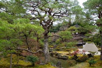 japanese garden