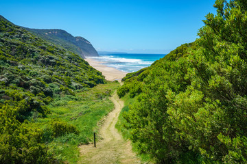 hiking the great ocean walk in victoria, australia