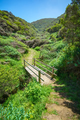 Fototapeta premium hiking the great ocean walk in victoria, australia