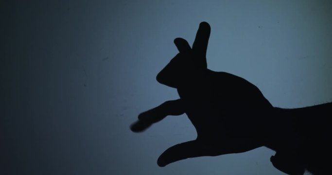 The shadow of the hand which depicts a rabbit on a blue background