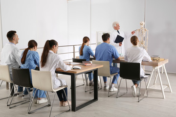 Medical students and professor studying human skeleton anatomy in classroom