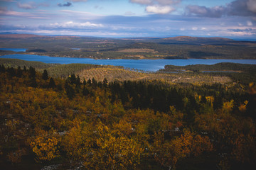 Swedish autumn fall vibrant landscape during hiking to Kurravaara mountain in Norrbotten county, Kiruna Municipality, Northern Sweden