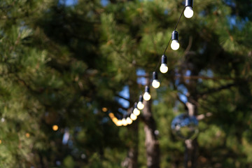 Obraz na płótnie Canvas Decoration for an outdoor party. A garland of light bulbs hanging between the trees