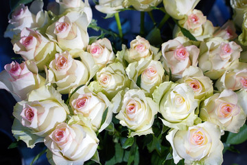 Elegant bouquet of white roses