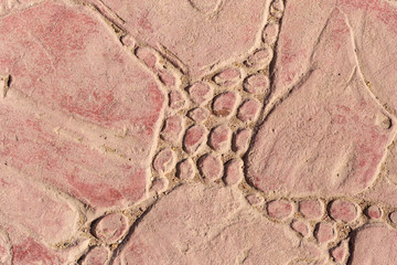 Sidewalk tiles with a pattern. A concrete slab painted red.  Decorative element for decoration of the exterior.