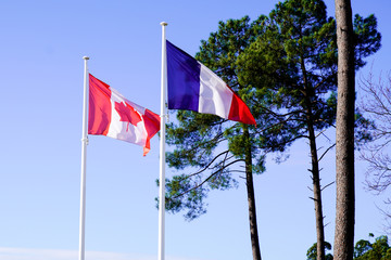 Official canadian and French flags flying in blue sky with tree pine