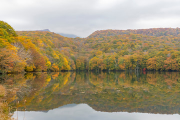 Beautiful fall color of the Tsutanuma area