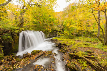 Beautiful fall color of the Choshio Falls