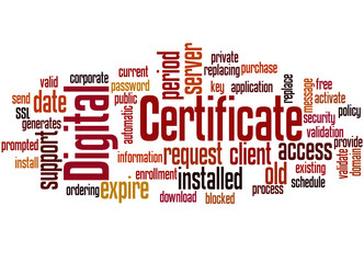 Obraz premium Digital certificate word cloud concept 3