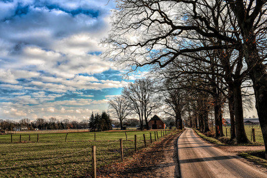 Winter auf dem Land, kahle B&auml;ume, kalt, Landschaft Wolken, blauer Himmel, Weg, Reiterdorf Luhm&uuml;hlen, sch&ouml;nes Wetter, idyllischn