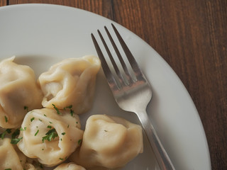 Dumpling on a white plate with herbs and metal fork. Traditional Eastern European food,