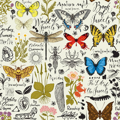 Vector abstract seamless pattern with insects and medicinal herbs in retro style. Colorful butterflies, beetles, various herbs, sketches and inscriptions. Wallpaper, wrapping paper, fabric, background