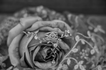 a ring in a rose