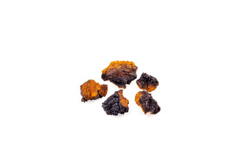 Chaga mushroom close-up isolated on a white background, medicinal mushroom grows on a birch
