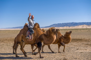 Tourist reitet auf Kamel in der W&uuml;ste Gobi, Mongolei