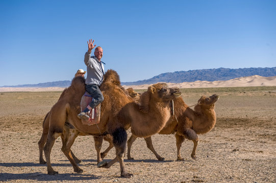 42 Beste Kamel Reiten Bilder Stock Fotos Vektorgrafiken Adobe Stock