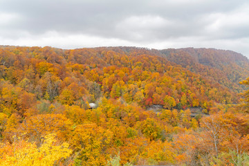 Beautiful fall color of the Lake Towada area