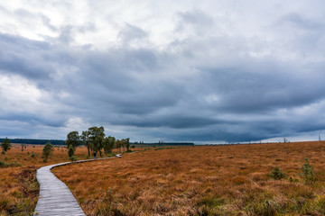 Walker in nature reserve High Fens, Belgium.