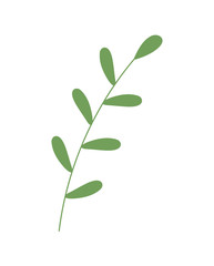 Fototapeta premium green branch leaves foliage nature ecology icon