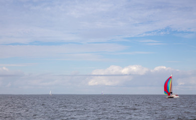 Landscape view of a Catamaran sailboat flying it's spinnaker