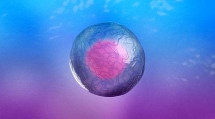 Obraz na płótnie Canvas Medically Accurate Illustration of Human Cells, 3D Rendering