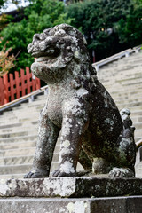 狛犬　鶴岡八幡宮　鎌倉