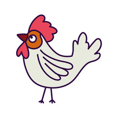 rooster poultry bird farm animal cartoon